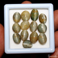 48.50 Cts Natural Chrysoberyl Green Cats Eye Oval Cabochon Loose Gemstones~13 Pc