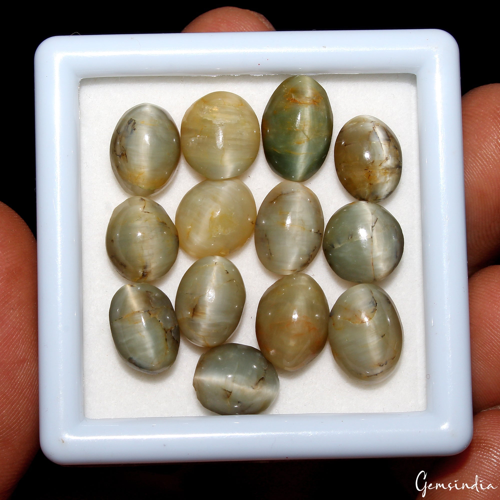 48.50 Cts Natural Chrysoberyl Green Cats Eye Oval Cabochon Loose Gemstones~13 Pc