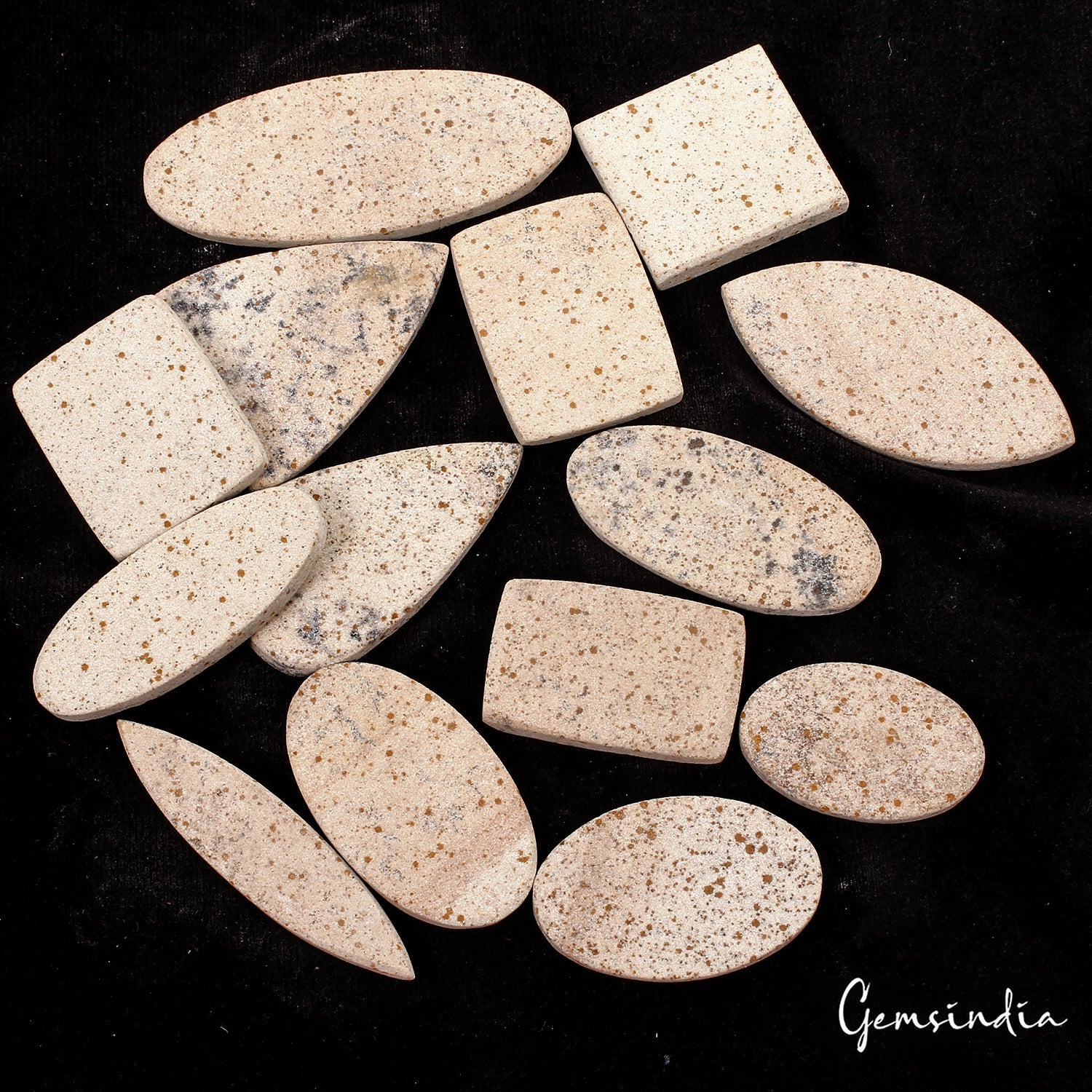 630 Cts/14 Pcs Natural Psilomelane Dendrite Fossil Tree Agate Mix Cut Loose Gems