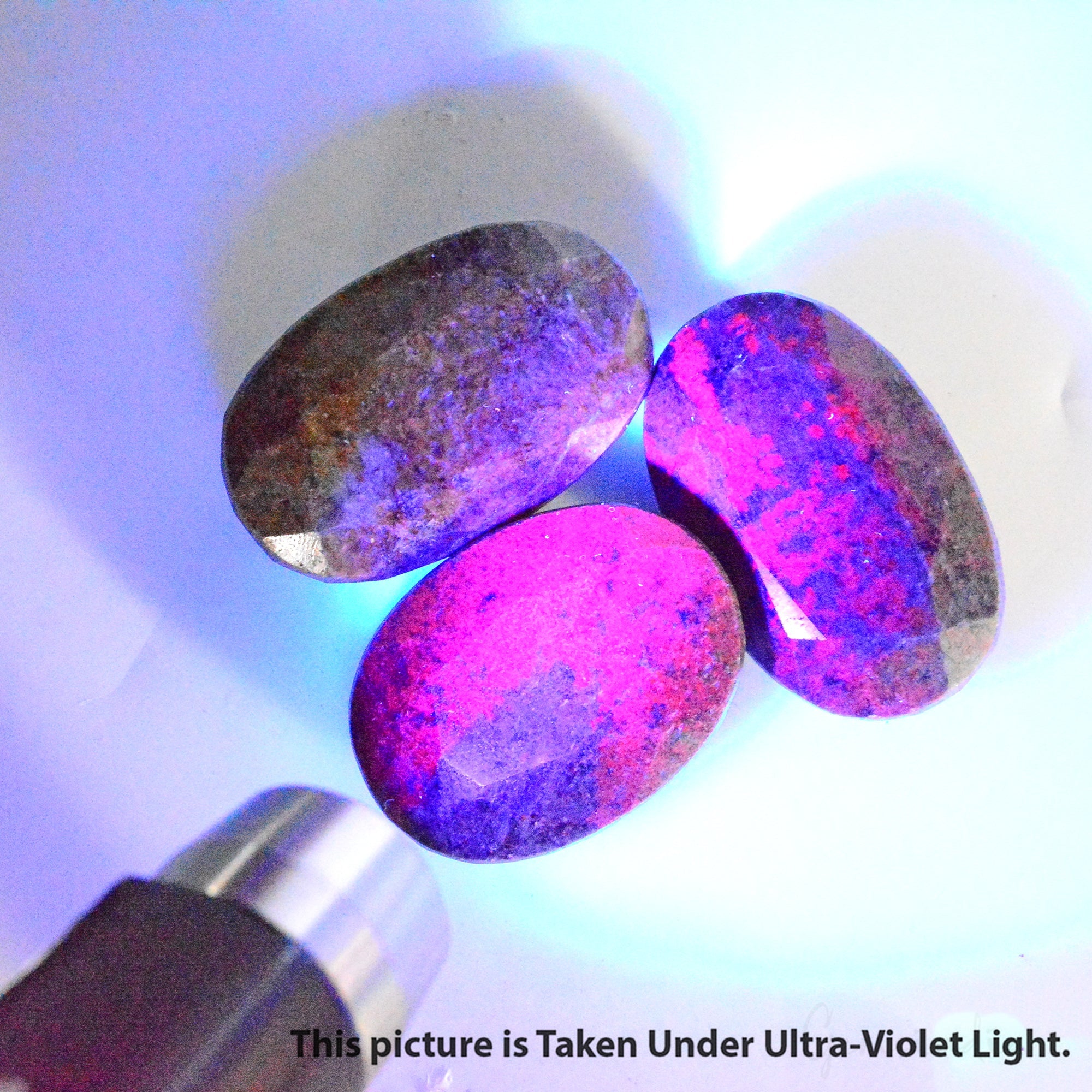 1000 Ct Natural Multicolor Ruby Fuchsite Oval Faceted Earth Mined Loose Gems Lot