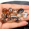 100.20 Cts/12 Pcs Natural Untreated Bi Color Onyx Banded Agate Gems For Jewelry
